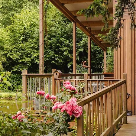 Le Chant Des Oiseaux - *