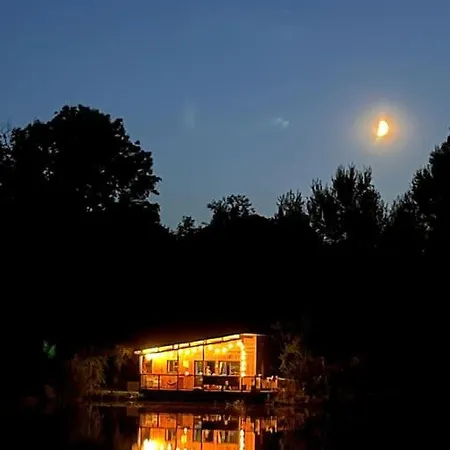 Le Chant Des Oiseaux - *