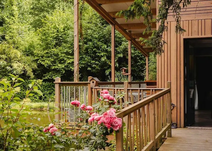 Le Chant Des Oiseaux - *