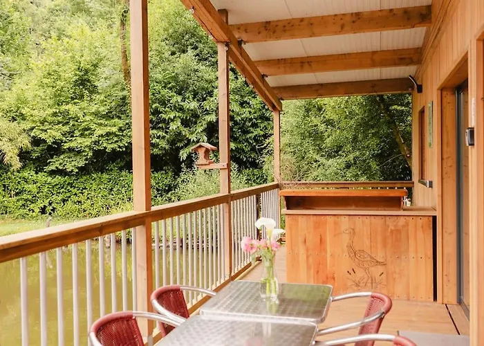 Le Chant Des Oiseaux - Chalet *