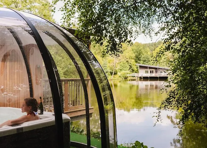 Le Chant Des Oiseaux -